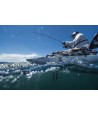 Hobie Mirage Drive 360° Pro Angler 12